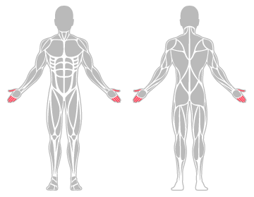 The infographic shows the fingers and thumb were the main body areas injured.