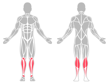 The infographic shows the knee, lower leg and ankle were the main body areas injured.