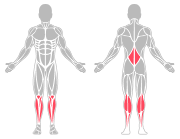 The infographic shows the lower back, lower leg and knee were the main body areas injured.