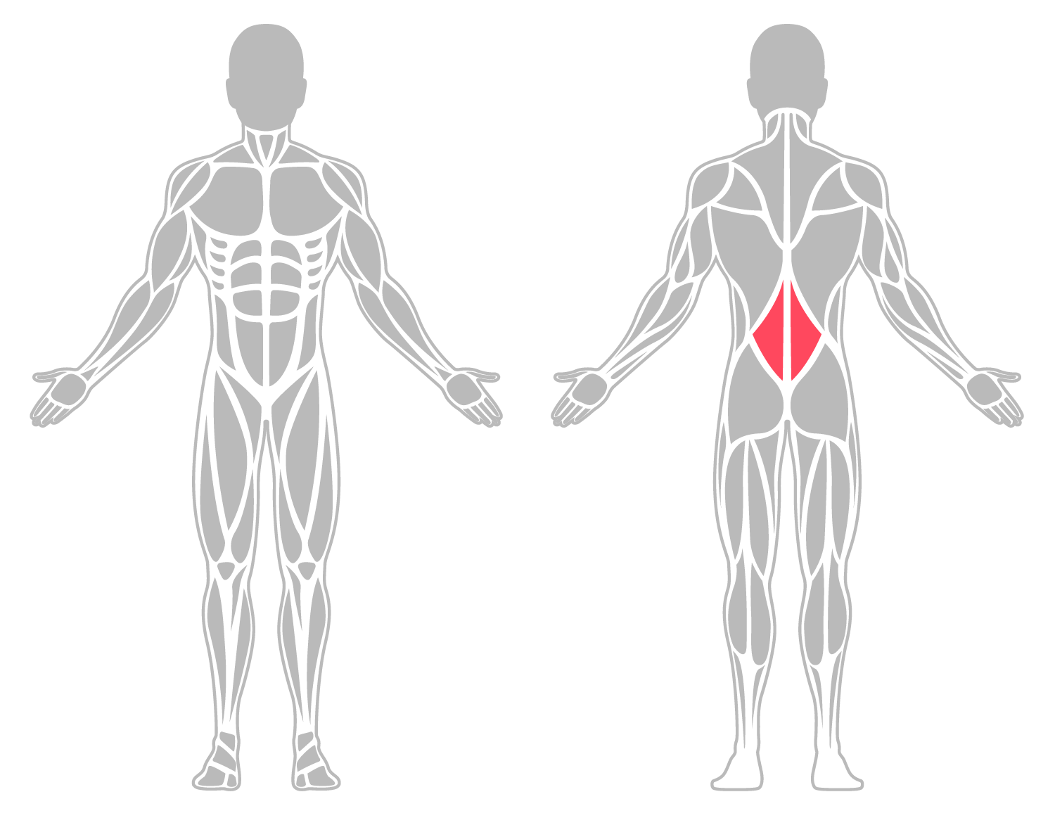 The infographic shows lower back was the main body area injured.