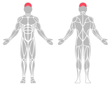The infographic shows the brain was the main body areas injured.