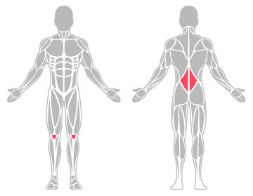 The infographic shows the lower back and knees were the main body areas injured.