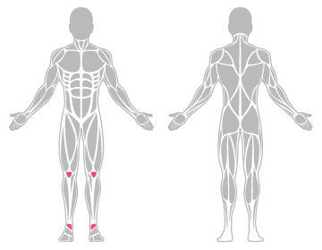 The infographic shows the knee and ankles were the main body areas injured.