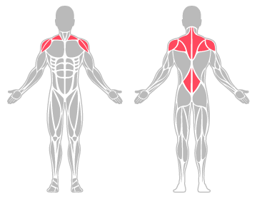 The infographic shows the lower back and shoulders were the main body areas injured.