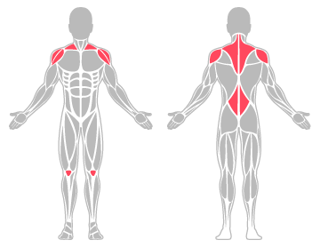 The infographic shows the shoulders, lower back and knee were the main body areas injured.