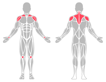 The infographic shows the shoulder, wrist and knee were the main body areas injured.
