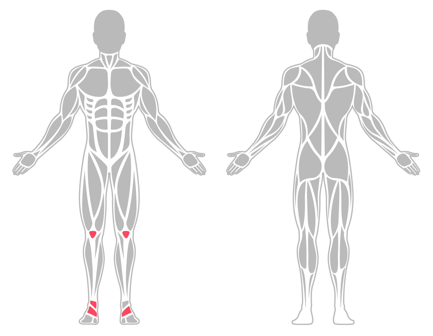 The infographic shows the knee and ankle were the main body areas injured.