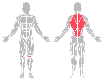 The infographic shows the knee and back were the main body areas injured.
