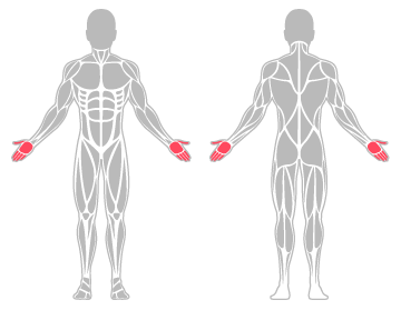 The infographic shows the fingers, thumb and hand were the main body areas injured.