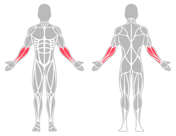 The infographic shows the forearm was the main body area injured.
