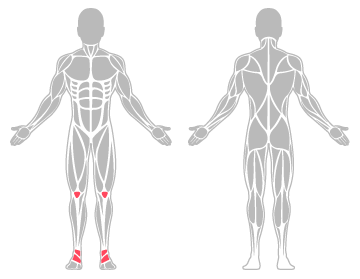 The infographic shows ankle and knee were the main body areas injured.