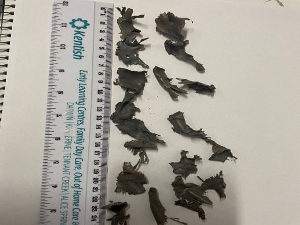 Debris Example Image
