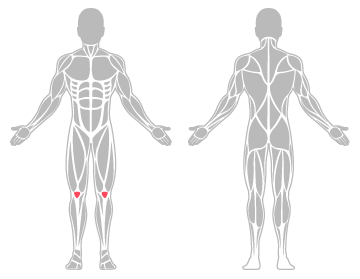 The infographic shows the knee was the main body area injured.