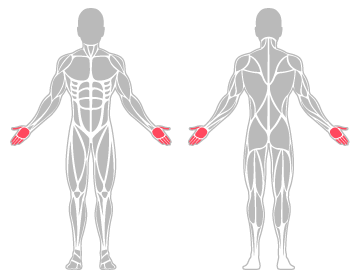 The infographic shows hands were the main body areas injured.