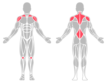 The infographic shows lower back, knee and shoulder were the main body areas injured.