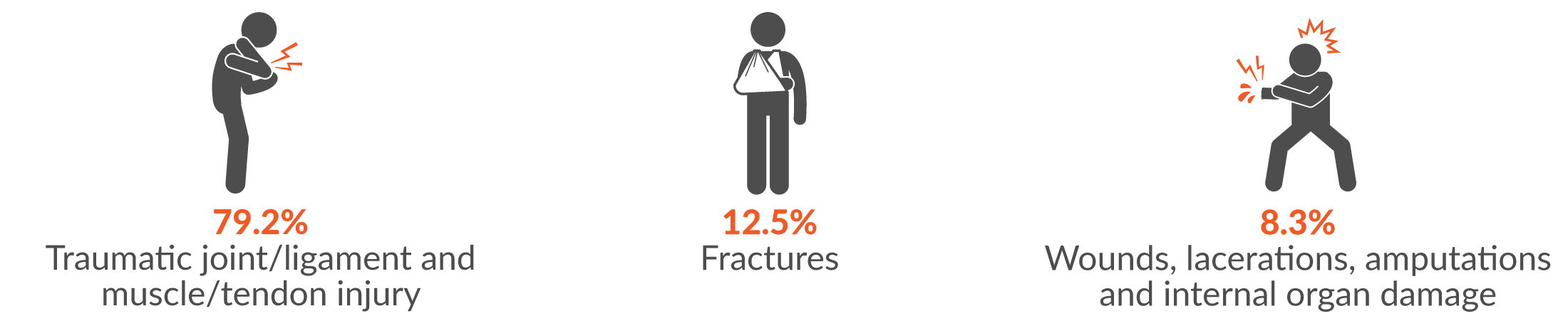79.2% traumatic joint/ligament and muscle/tendon injury; 12.5% fractures; 8.3% wounds, lacerations, amputations and internal organ damage.