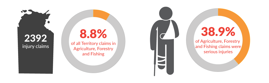 This infographic shows there were a total of 2392 workers' compensation claims in the Northern Territory for the year 2020-21. 8.8% of those claims were in Agriculture, forestry and fishing and 38.9% of those claims were for serious injuries.