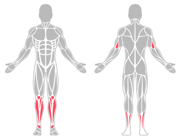 The infographic shows the knee, ankle, lower leg and elbow were the main body areas injured.