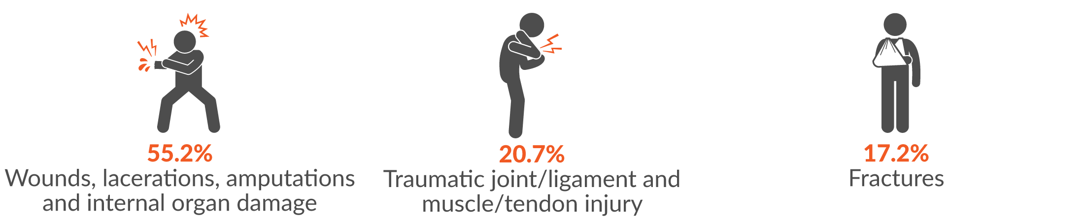 55.2% wounds, lacerations, amputations and internal organ damage; 20.7% traumatic joint/ligament and muscle/tendon injury; and 17.2% fractures.