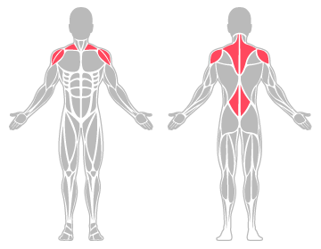 The infographic shows the shoulders and lower back were the main body areas injured.