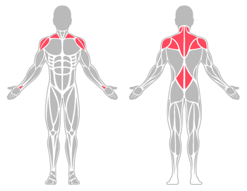 The infographic shows the lower back, shoulders and wrists were the main body areas injured.
