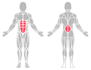 The infographic shows the lower back and abdominal were the main body areas injured.