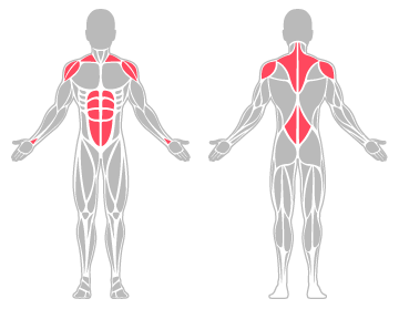 The infographic shows the lower back, abdominal musles and tendons, wrist and shoulders were the main body areas injured.