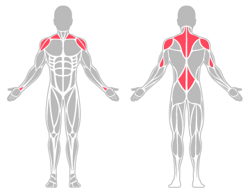 The infographic shows the shoulders, wrist, lower back and elbow were the main body areas injured.