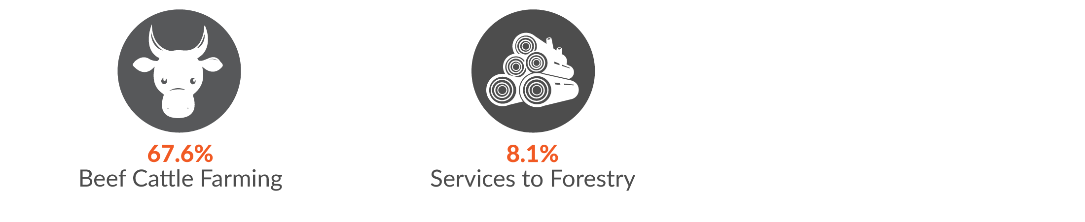 This infographic shows 67.6% of Agriculture, forestry and fishing serious injury claims were in Beef Cattle Farming and 8.1% in Services to Forestry.