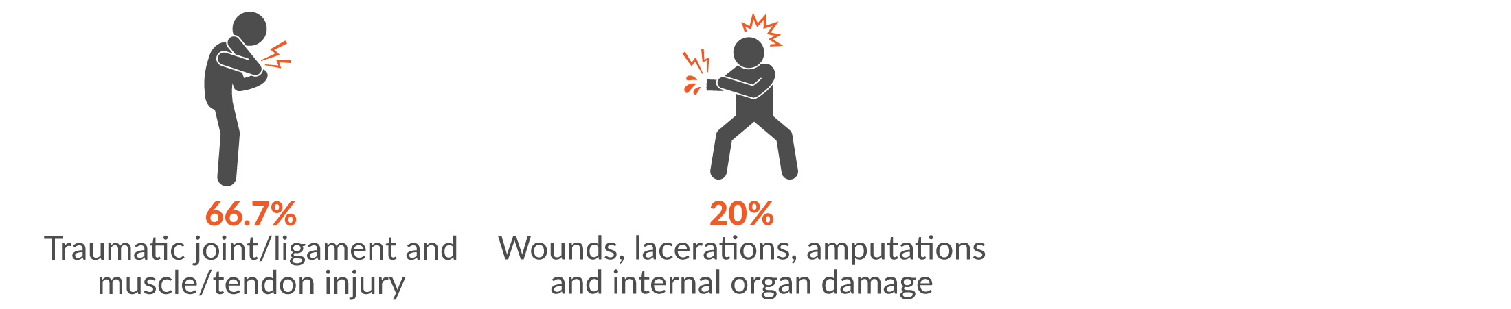 66.7% traumatic joint/ligament and muscle/tendon injury; and 20% Wounds, lacerations, amputations and internal organ damage.