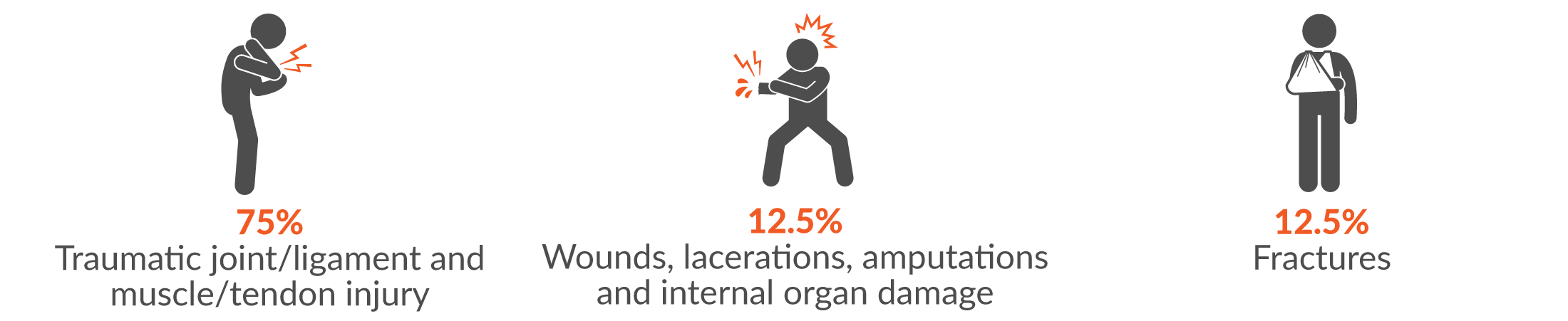 75% traumatic joint/ligament and muscle/tendon injury, 12.5% wounds, lacerations, amputations and internal organ damage and 12.5% fractures