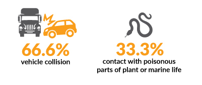 Vehicle collision, poisonous plant or marine life graphic