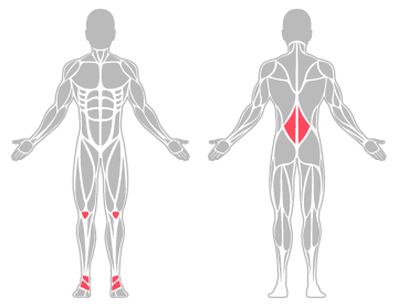 The infographic shows knee, ankle and lower back were the main body areas injured.