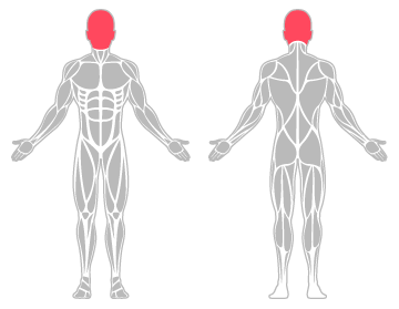 The infographic shows the brain, finger and face were the main body areas injured.
